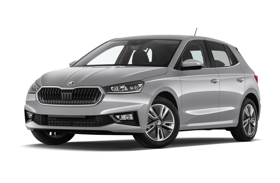 Imagen Skoda Fabia 1